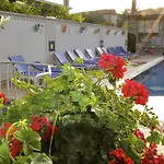 Hotel Magic Tulip