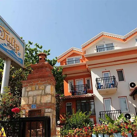 Magic Tulip Szálloda