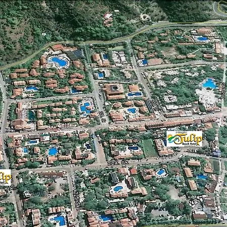 Szálloda Magic Tulip 3*