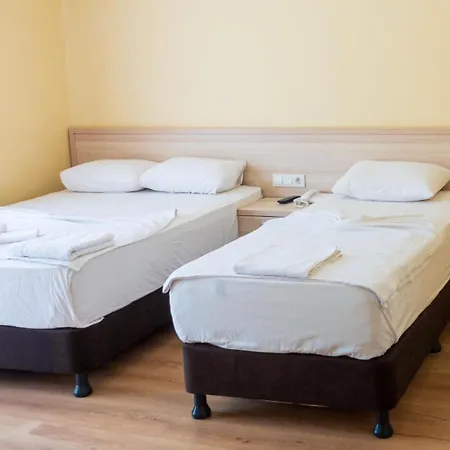 Magic Tulip オルデニズ