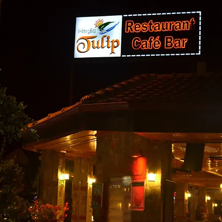 Magic Tulip 3*
