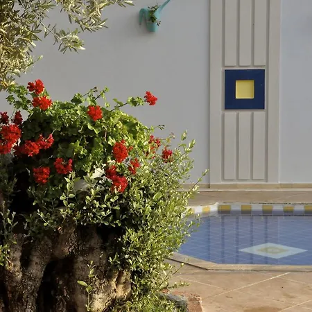 酒店 魔力郁金香海滩酒店 厄吕代尼兹