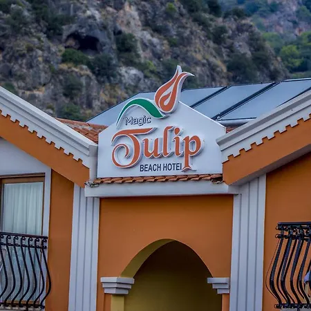 酒店 魔力郁金香海滩酒店