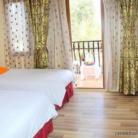 Magic Tulip 3* Олудениз