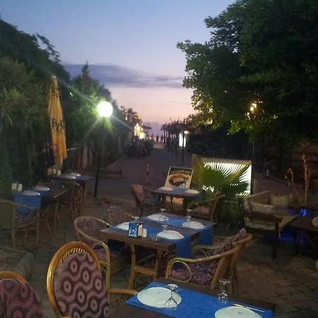 Magic Tulip אולודניץ