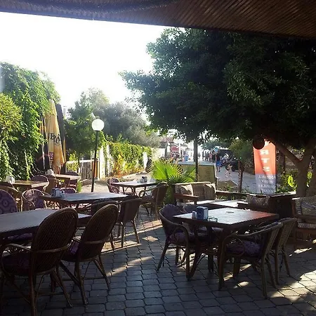 Magic Tulip מלון