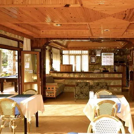 מלון Magic Tulip