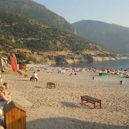 Magic Tulip מלון