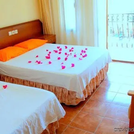 Magic Tulip אולודניץ